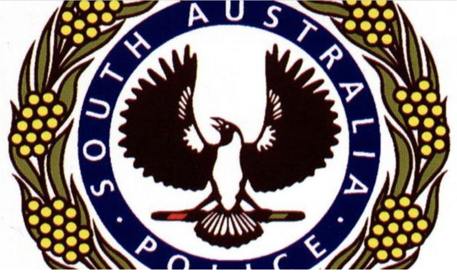 code-of-conduct-south-australian-police-constitution-watch